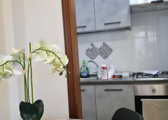 Cisanello Dream House アパート